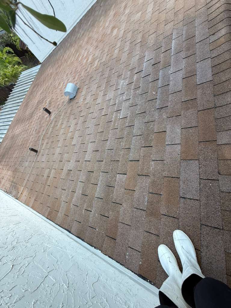 Complete Yard Cleanup - Before professional lawn care and landscaping service by The Fresh Feel in South Florida